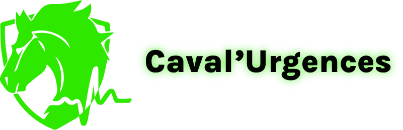 Caval'Urgences