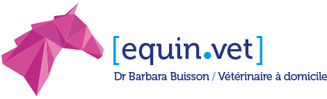 Logo Equin.vet réalisé par Equidéclic