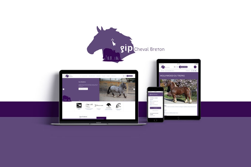 Création du site Internet du GIP - Cheval Breton