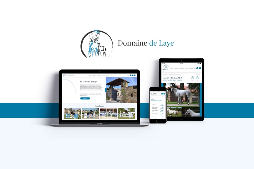 Création du site Internet du Domaine de Laye