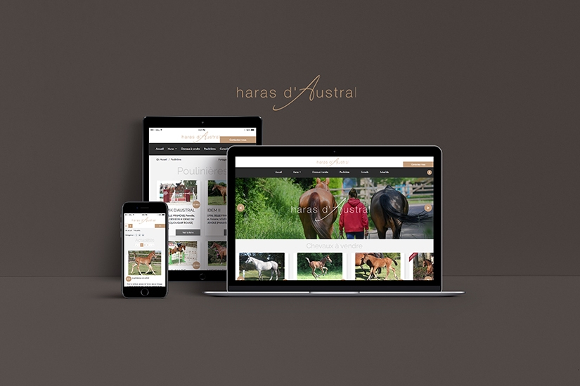 Création du site Internet du Haras d'Austral