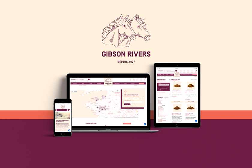 Création du site Internet e-commerce Gibson Rivers