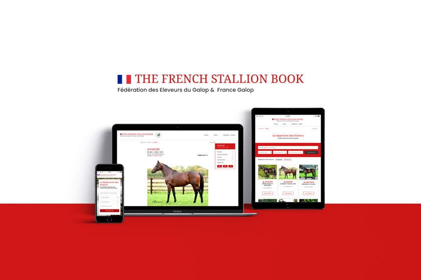 Création du site Internet The French Stallion Book