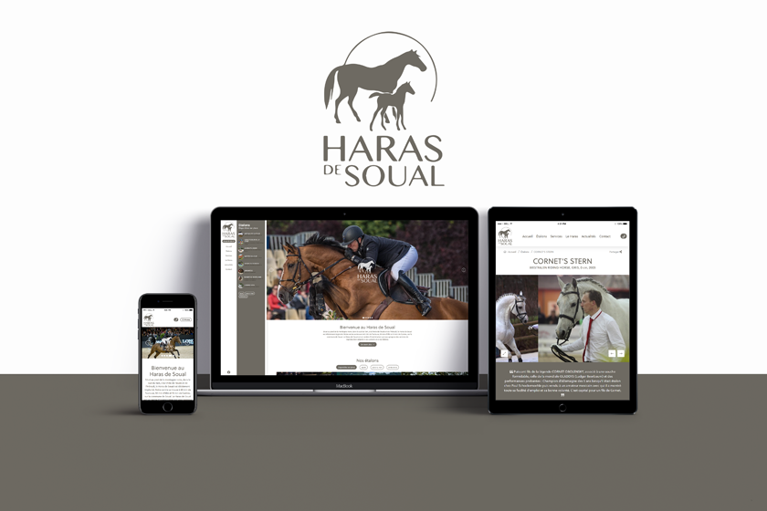 Création du site Internet du Haras de Soual