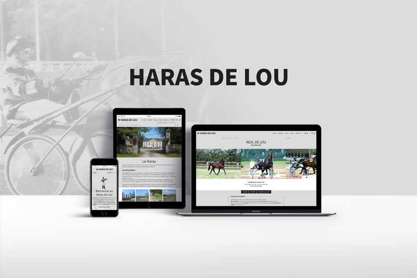 Création du site Internet du Haras de Lou