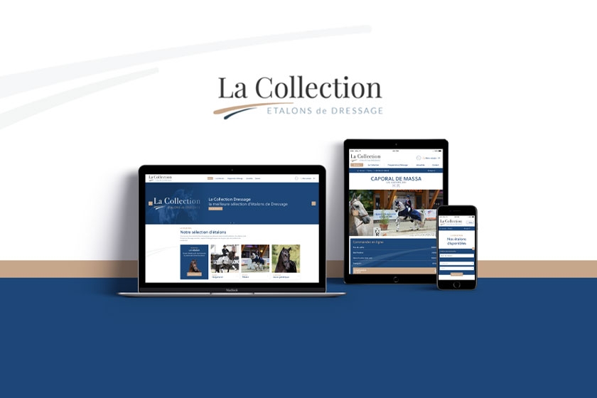 Développement du site Internet de La Collection