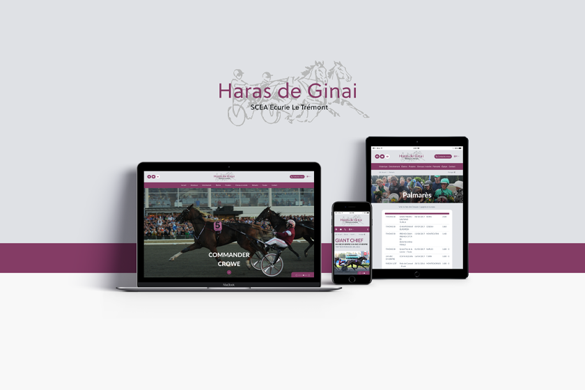 Création du site Internet du Haras de Ginai