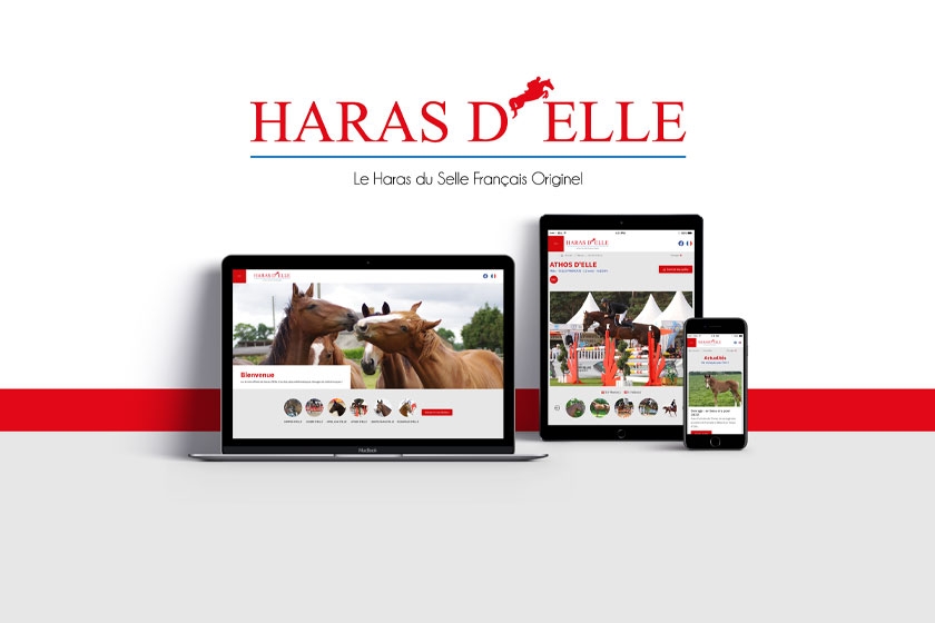 Refonte du site Internet du Haras d'Elle